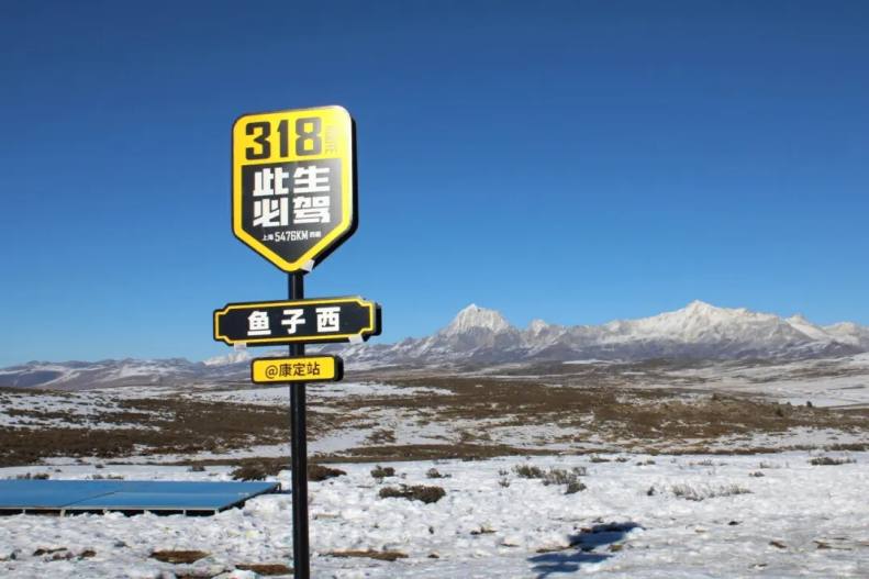 鱼子西3.webp