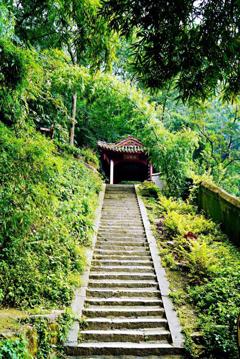 单景山1